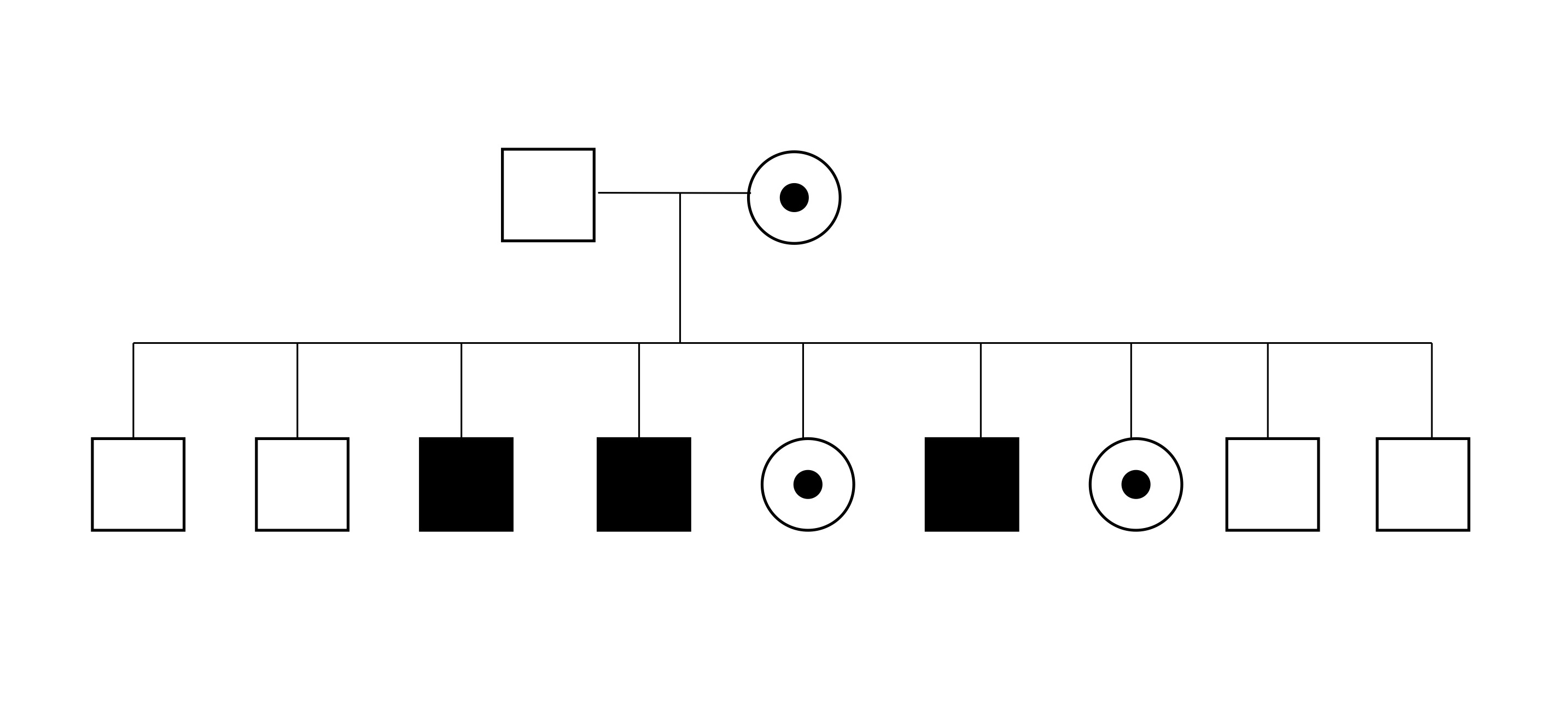 Figure 1: Choroideremia Pedigree